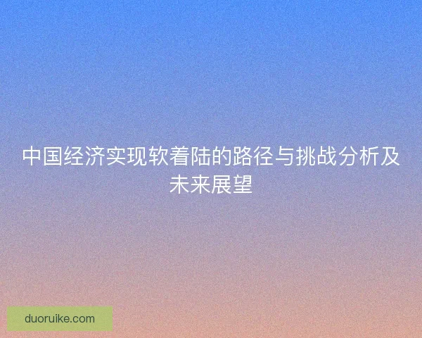 中国经济实现软着陆的路径与挑战分析及未来展望