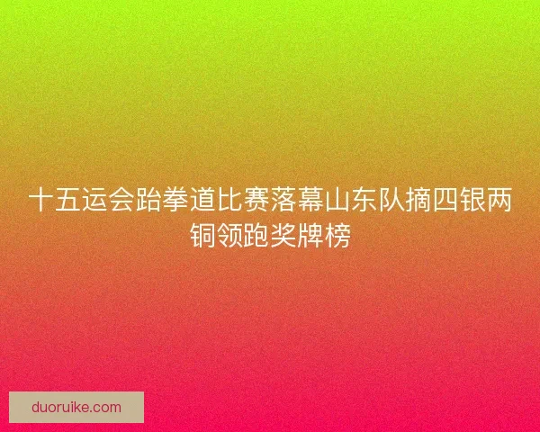 十五运会跆拳道比赛落幕山东队摘四银两铜领跑奖牌榜